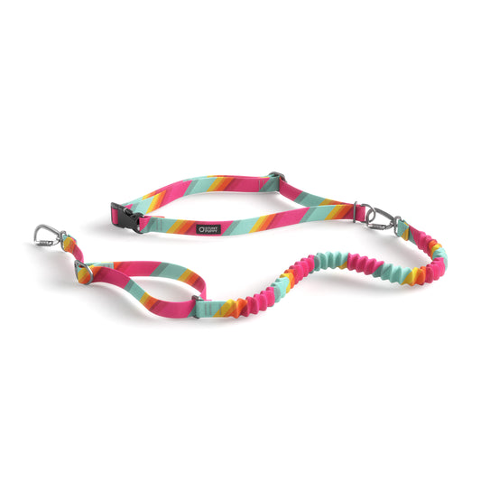 Stunt Runner™ Hands-Free Leash All Are Welcome Here