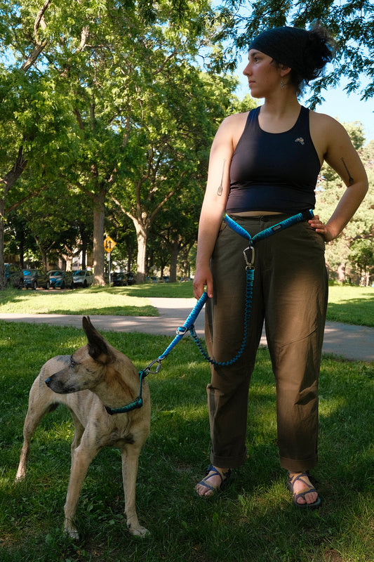 Stunt Runner™ Hands-Free Leash Green Pines