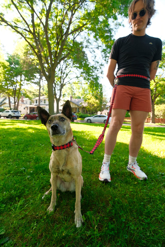 Stunt Runner™ Hands-Free Leash Jammin Blush Spiral