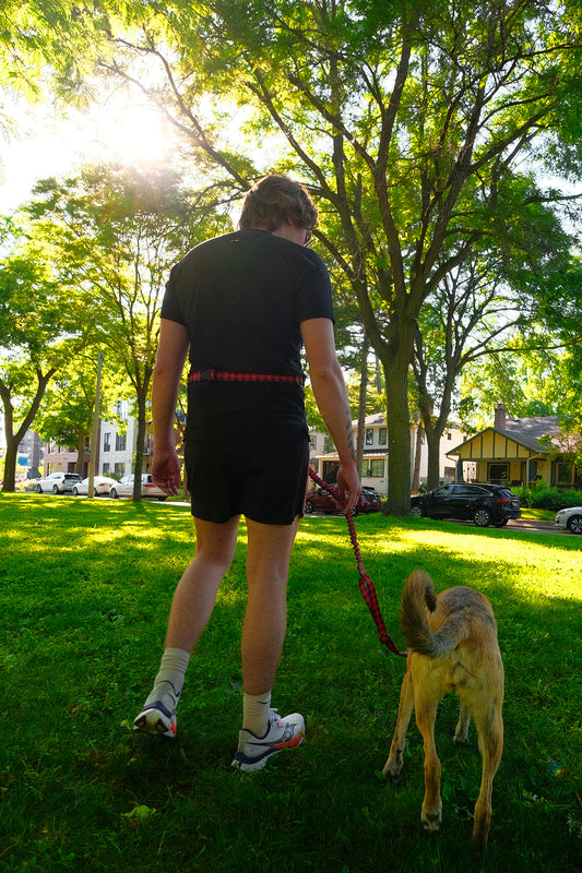 Stunt Runner™ Hands-Free Leash Jammin Peyote