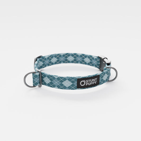 Argyle Wildberry Everyday Collar