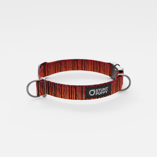 Birch Orange Everyday Collar