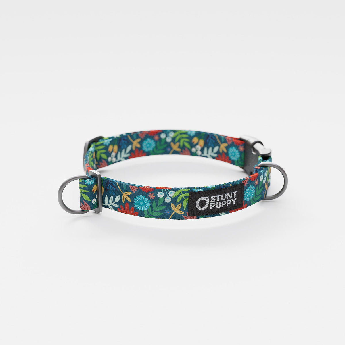 Everyday Collars – Stunt Puppy