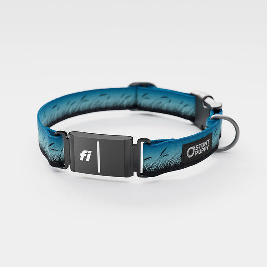 Fi GPS Included Marsh Blue Everyday Collar (6 month subscription)