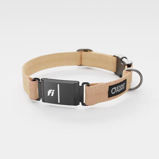 Fi GPS Included Petri Peach Everyday Collar