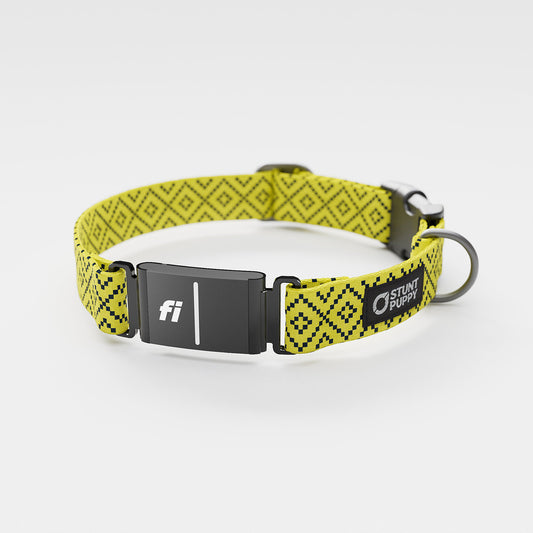 Fi GPS Included Pixie Yellow Navy Everyday Collar