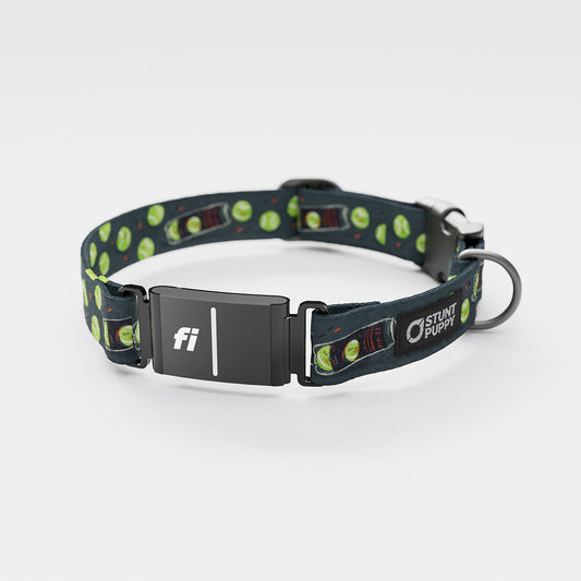 Fi GPS Included Jill Kittock Tennis Balls Everyday Collar (6 month subscription)