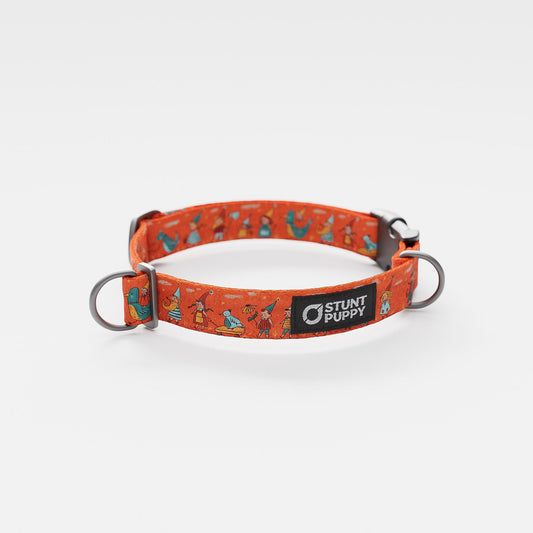 Jill Kittock Gnomes Everyday Collar