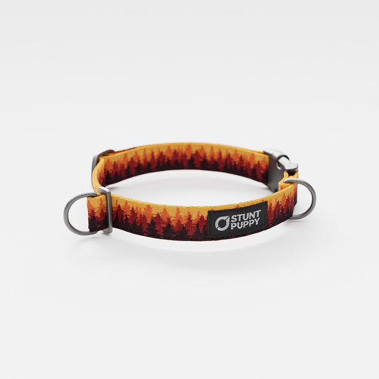 Pines Orange Everyday Collar