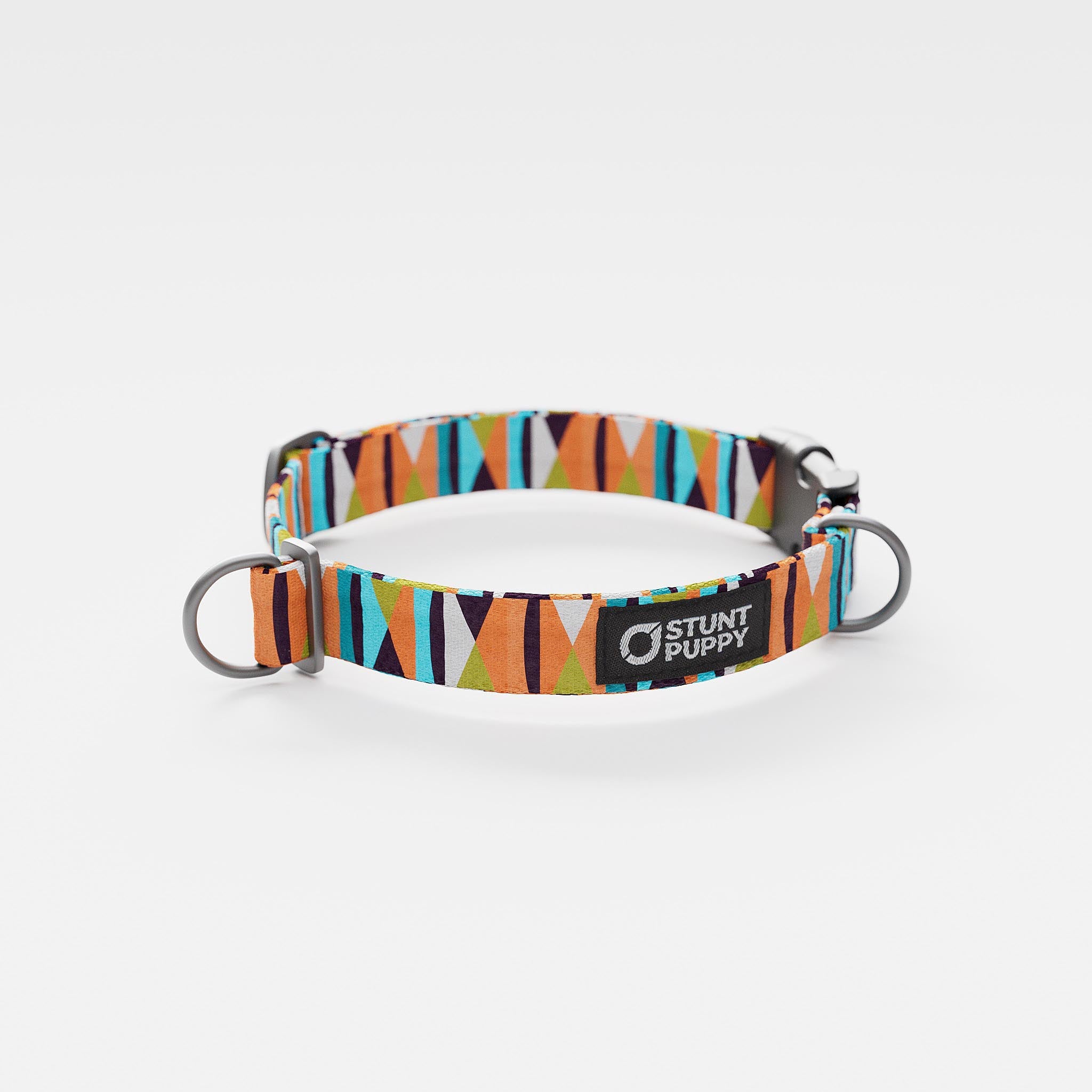 Stunt Puppy Zebras Gone Wild Hot Blue Collar Dog Collar