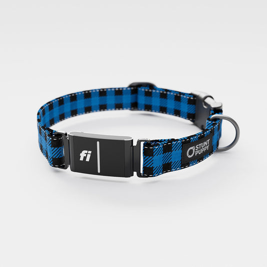 Fi GPS Included Lumberpup Brainerd Everyday Collar (6 month subscription)