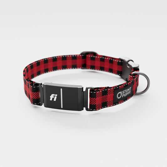 Fi GPS Included Lumberpup Buffalo Everyday Collar (6 month subscription)