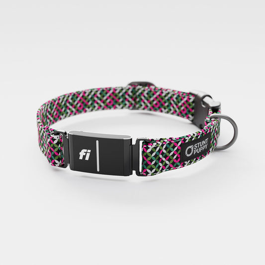Fi GPS Included Lattice Pink Everyday Collar (6 month subscription)
