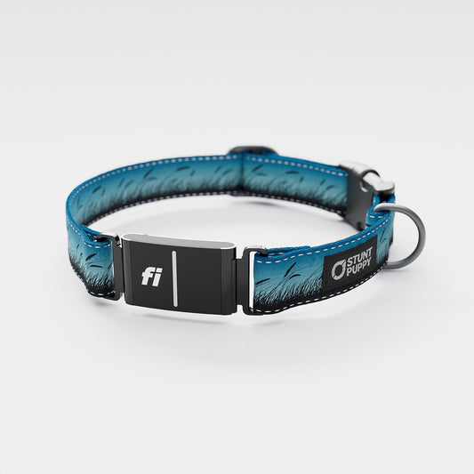Fi GPS Included Marsh Blue Everyday Collar (6 month subscription)