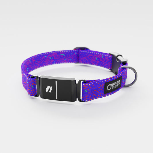 Fi GPS Included Petri Purple Everyday Collar