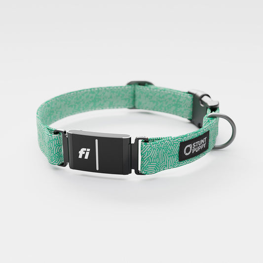 Fi GPS Included Petri Jade Everyday Collar (6 month subscription)