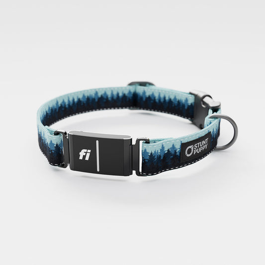 Fi GPS Included Pines Blue Everyday Collar