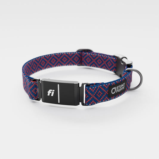 Fi GPS Included Pixie Blue Red Everyday Collar