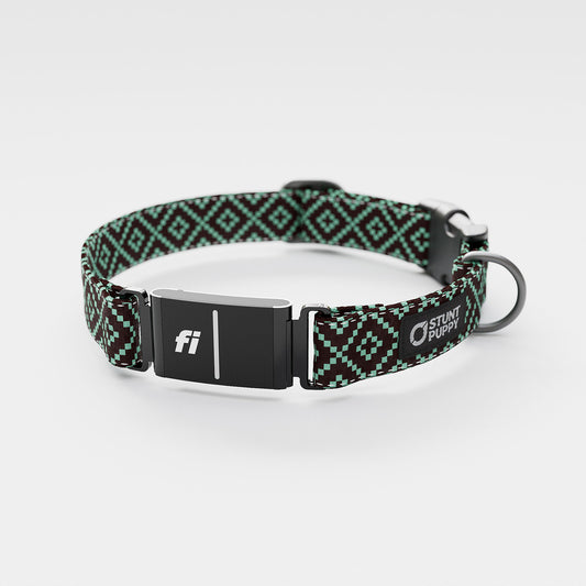 Fi GPS Included Pixie Brown Teal Everyday Collar (6 month subscription)