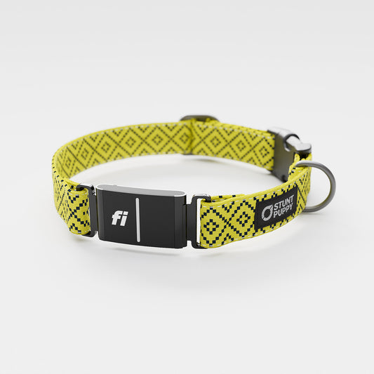 Fi GPS Included Pixie Yellow Navy Everyday Collar (6 month subscription)