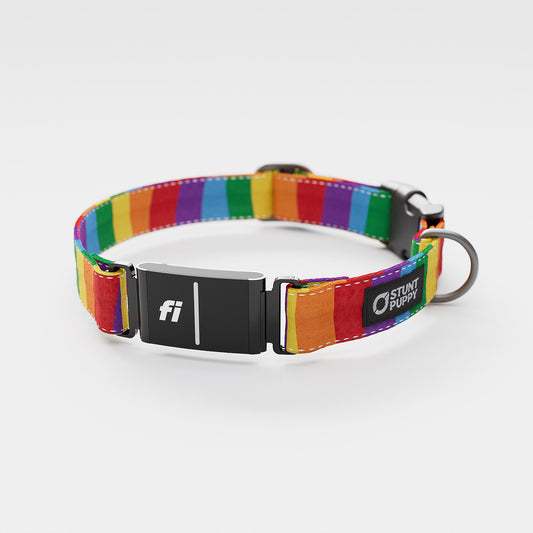 Fi GPS Included Rainbow Everyday Collar (6 month subscription)