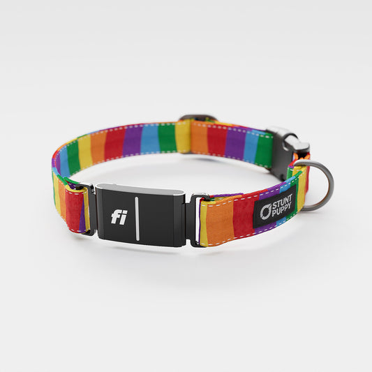 Fi GPS Included Rainbow Everyday Collar