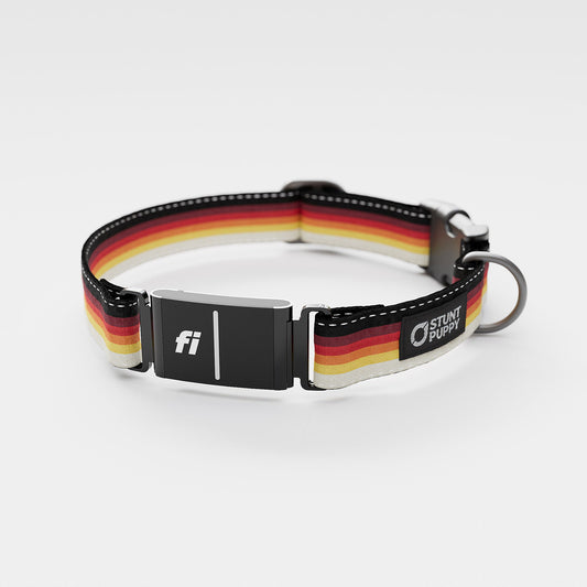 Fi GPS Included Sunset Everyday Collar (6 month subscription)