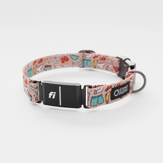 Fi GPS Included Jill Kittock Undies Pink Everyday Collar (6 month subscription)