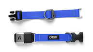 %Show% %Size:Regular% %Alt:Regular Royal Collar% Blue Dog Collar