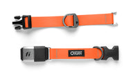 %Show% %Size:Regular% %Alt:Regular Orange Collar% Orange Dog Collar