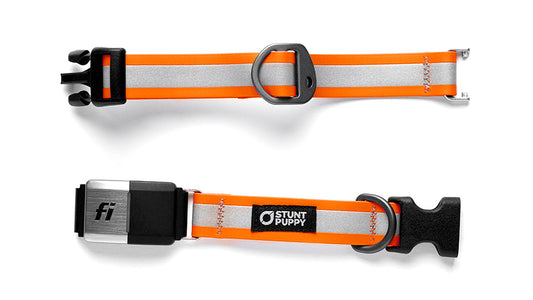 Fi-Ready Go Dog Glo Dry Collar™ (Fi Series 2)