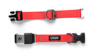 %Show% %Size:Regular% %Alt:Regular Red Collar% Red Dog Collar