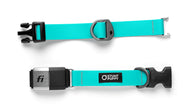 %Show% %Size:Regular% %Alt:Regular Teal Collar% Teal Dog Collar