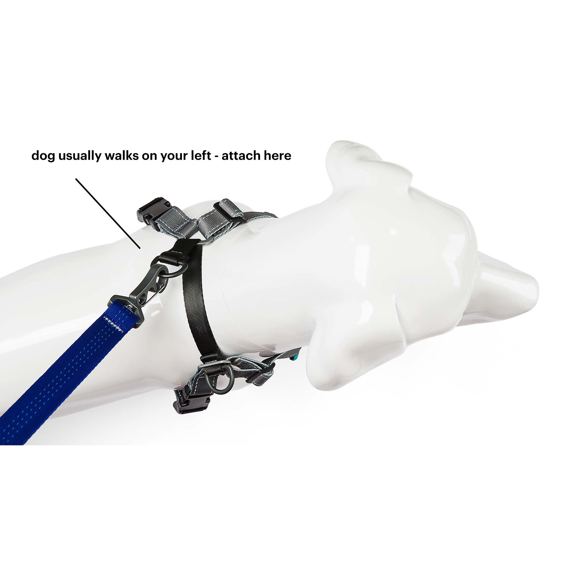 Stunt puppy harness new arrivals