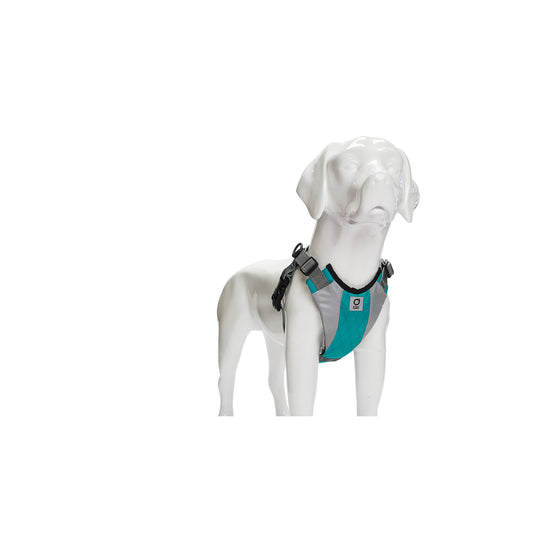 Petsafe Easy Walk Harness Petco Easy Step In Harness Petco Petsafe