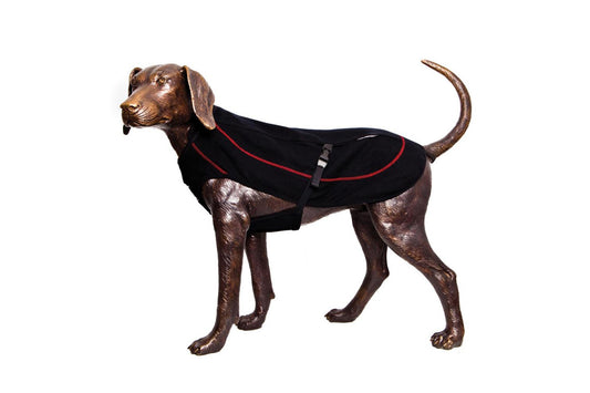 D-Fa Ice-Barker Sample