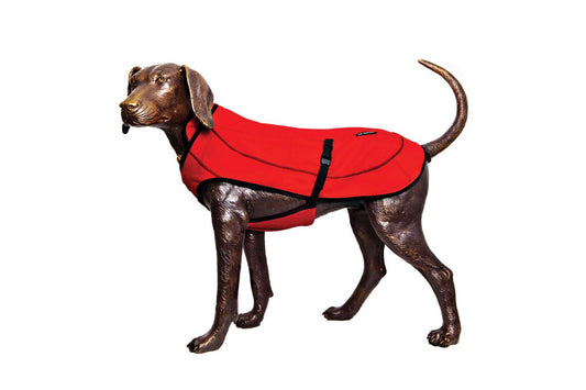 D-Fa Ice-Barker Sample