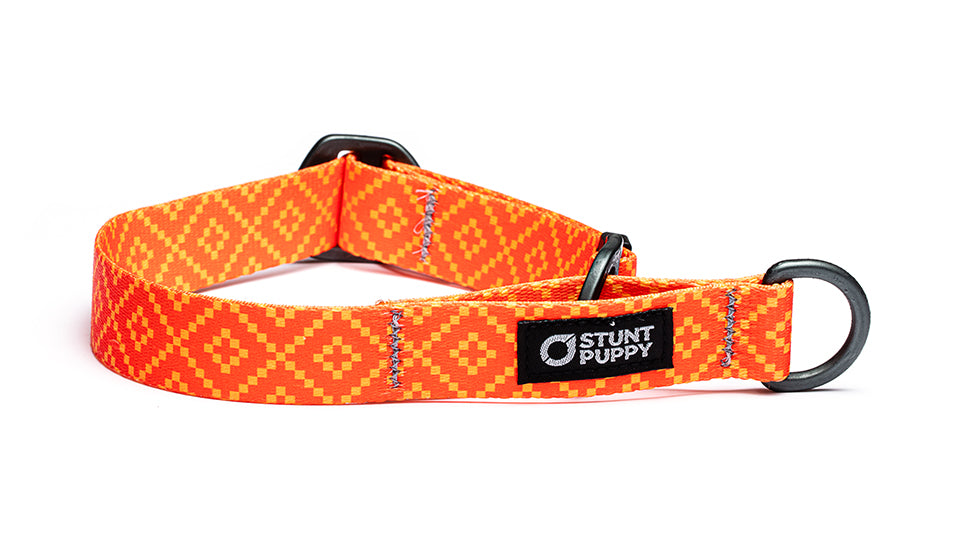 Self tightening dog collar sales