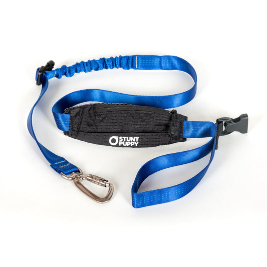 Scout Leash™