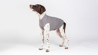 %ShowAll% %Color:Charcoal%  %Alt:Charcoal Dog Jacket%