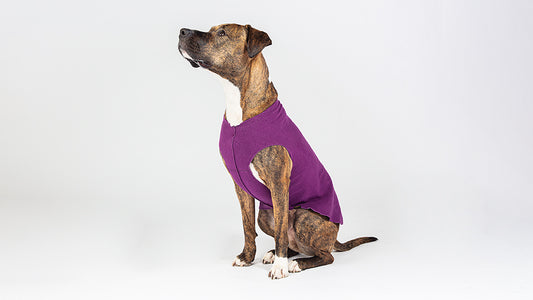 Gold Paw Series Stretch Fleece Small Dog Shirts