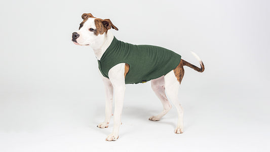 Stretch Fleece – Stunt Puppy