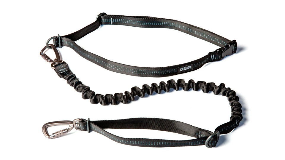 best hands free dog exercise leash Stunt Runner Leash Black