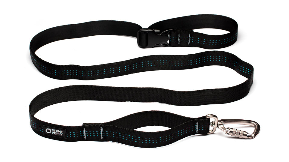 Carter Pet Supply 8 Ft Heavy Duty Dog Leash – 2-Ply Nylon – Made In USA W/ Swivel Snap