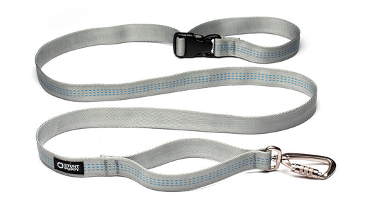 %Show% %Size:Regular% %Alt:Regular Silver Leash%