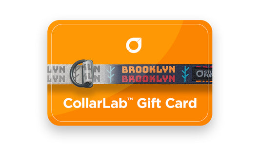 CollarLab™ Gift Card
