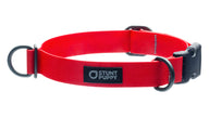 %ShowAll% %Size:Regular% %Alt:Regular Red Collar% Red Dog Collar