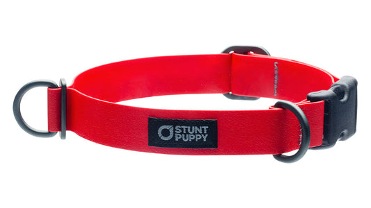 %ShowAll% %Size:Regular% %Alt:Regular Red Collar% Red Dog Collar