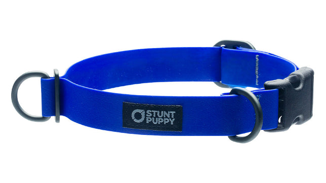 %ShowAll% %Size:Regular% %Alt:Regular Royal Collar% Royal Dog Collar