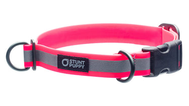 Collars – Stunt Puppy